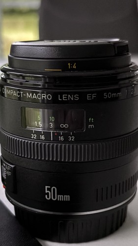 Canon 50mm 5 compact - 50mm,